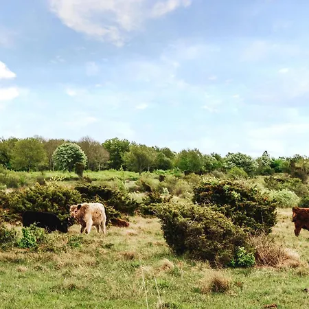 펜션 Amazing In With Wifi